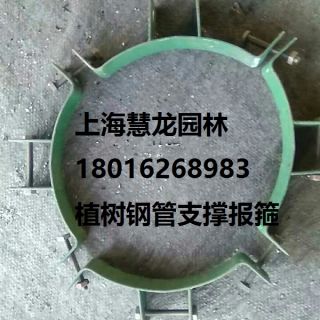 大樹報(bào)箍，植樹支撐報(bào)箍，鋼支撐報(bào)箍